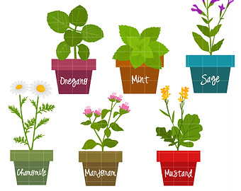 Parsley, Sage, Rosemary and Thyme