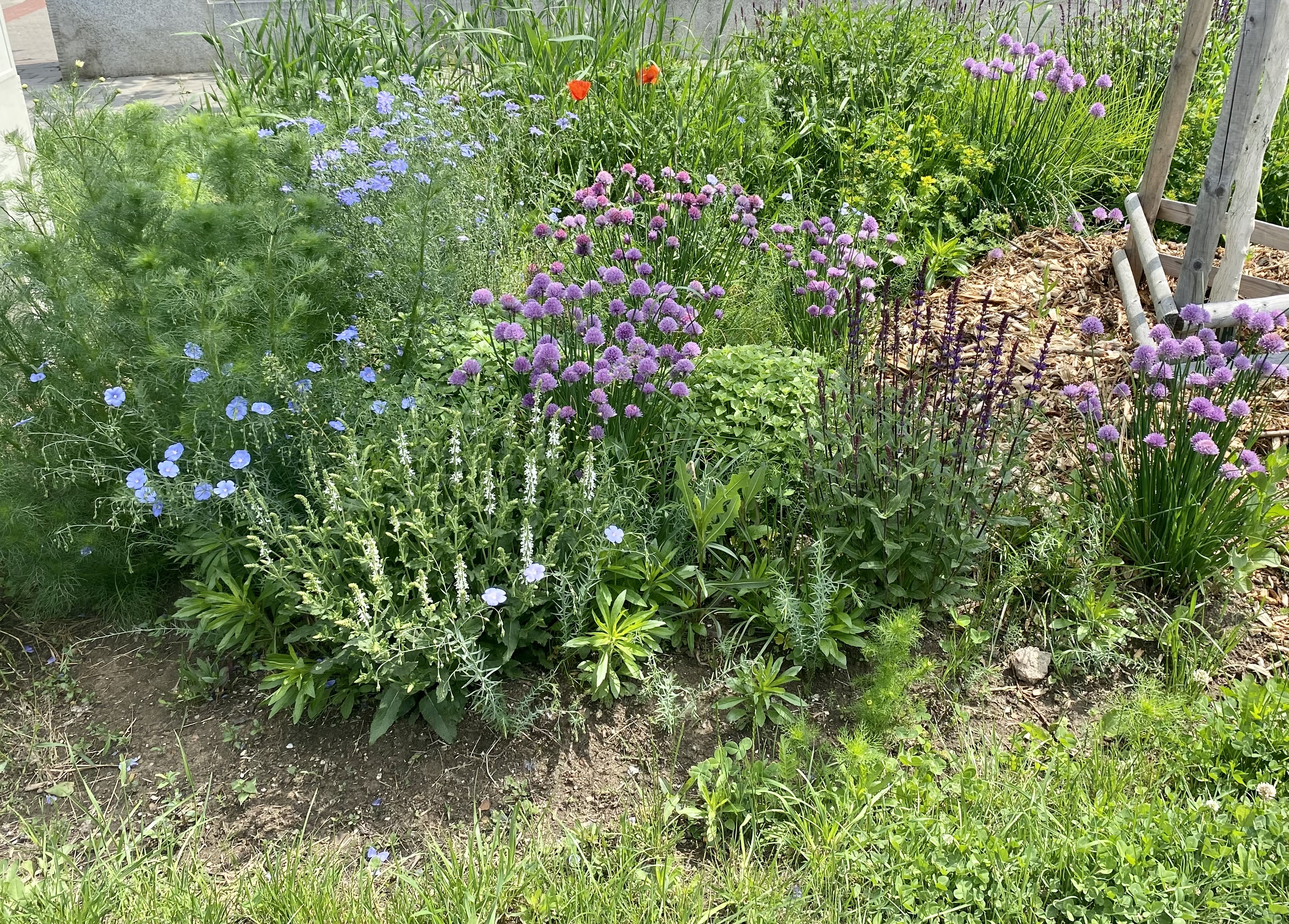 Hot, dry weather is tough on plants. Here’s how to conserve water while maintaining your landscape.
