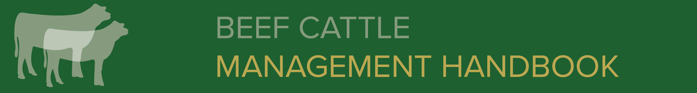 Beef Cattle Management Handbook