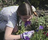 Pesticide Safety