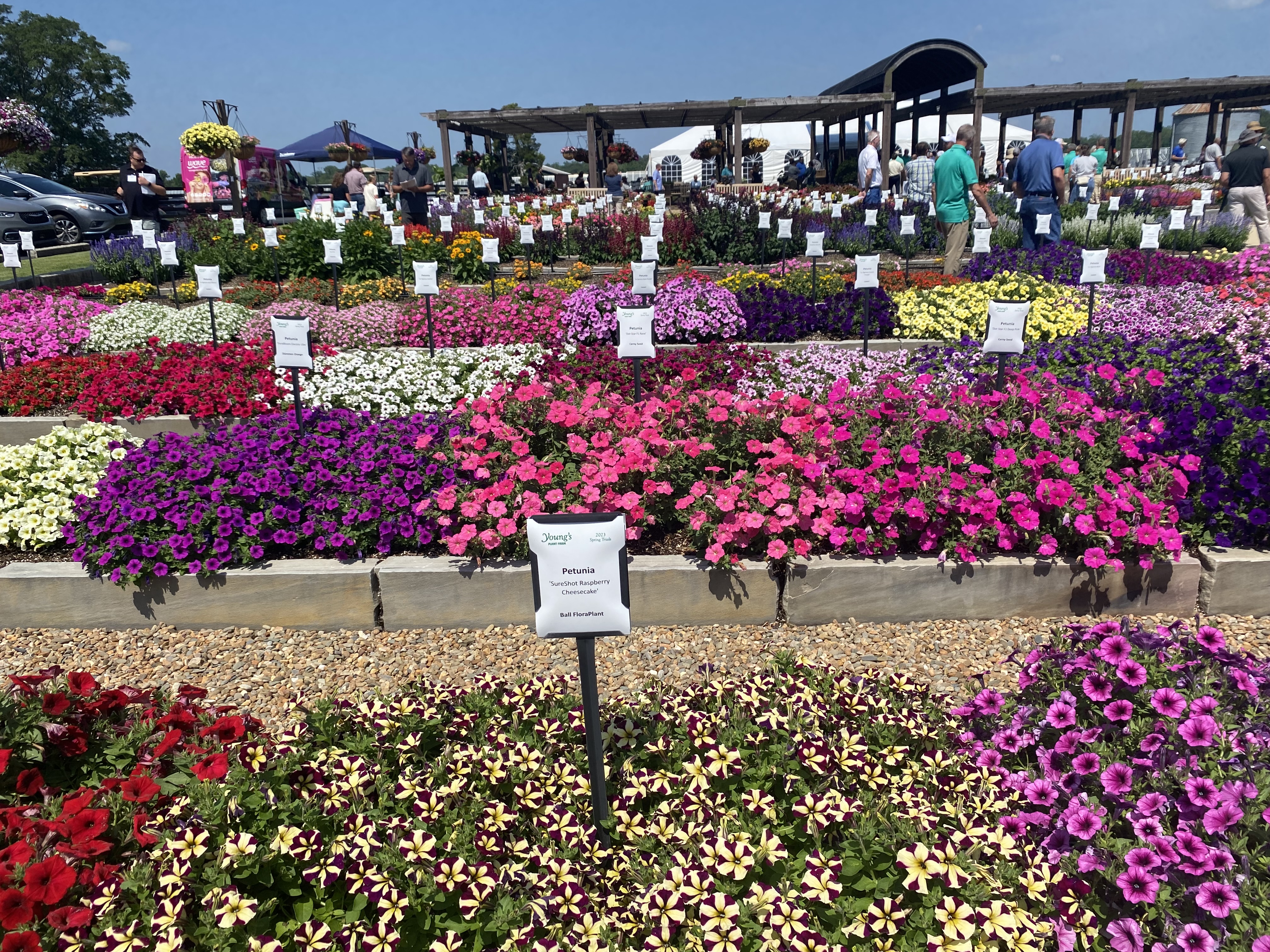 Exploring the benefits of open plant trial gardens