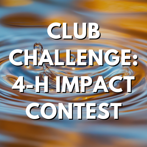 Club Challenge: 4-H Impact Contest