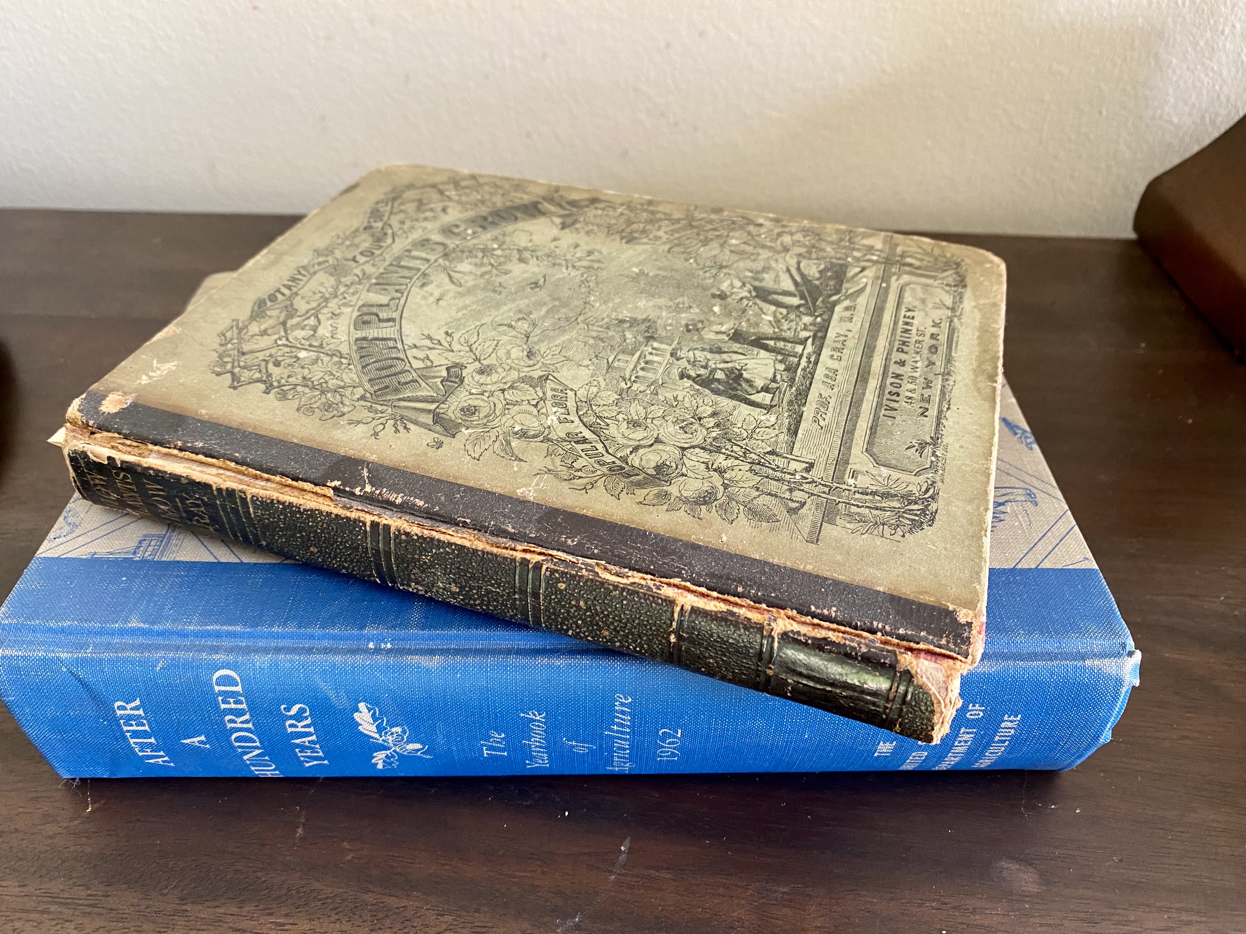 Stack of old books.