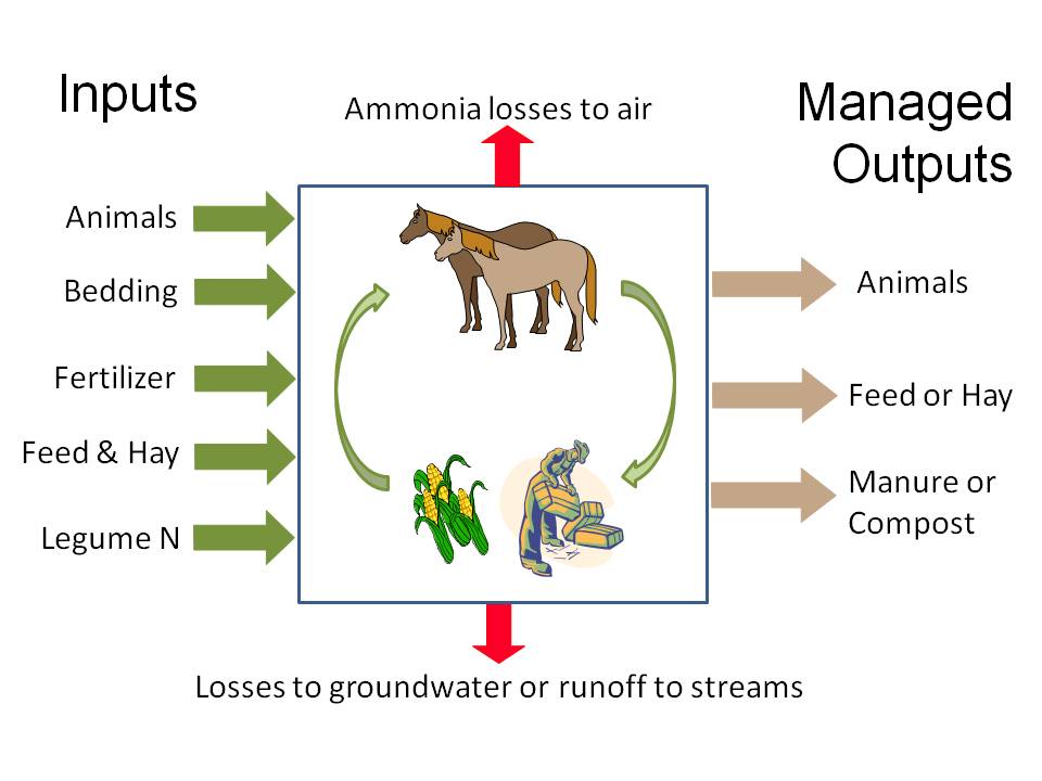 Managing Horse Manure for Environmental Benefits