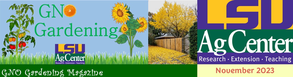 GNO Gardening Magazine - November 2023