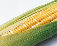 Corn Market
