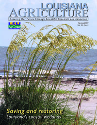 Louisiana Agriculture Magazine Spring 2007