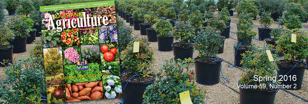 Spring 2016 Louisiana Agriculture Magazine