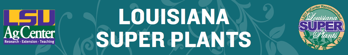 Decorative banner that says "Louisiana Super Plants."