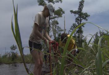 Students participate in wetland restoration