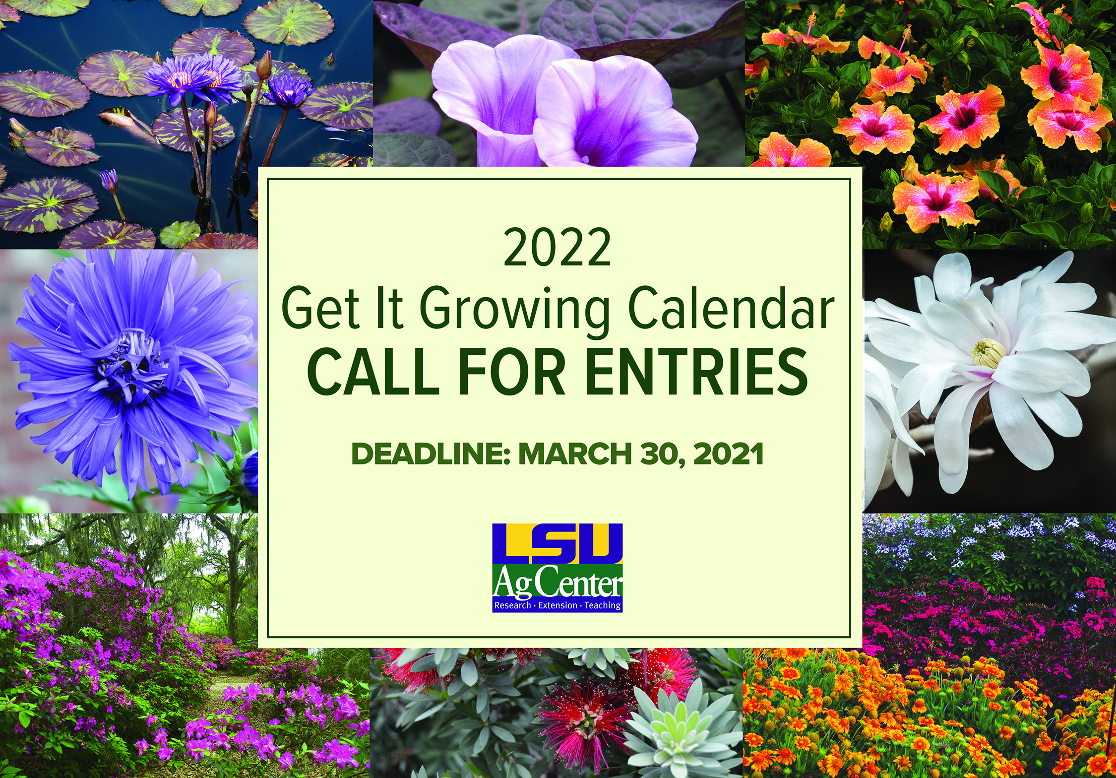 LSU AgCenter issues call for entries for 2022 Get it Growing calendar photos