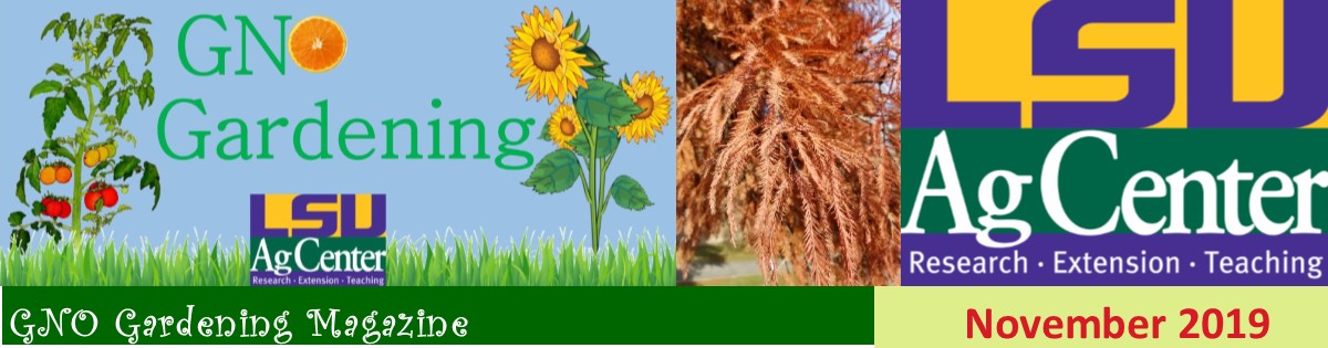 GNO Gardening - November 2019