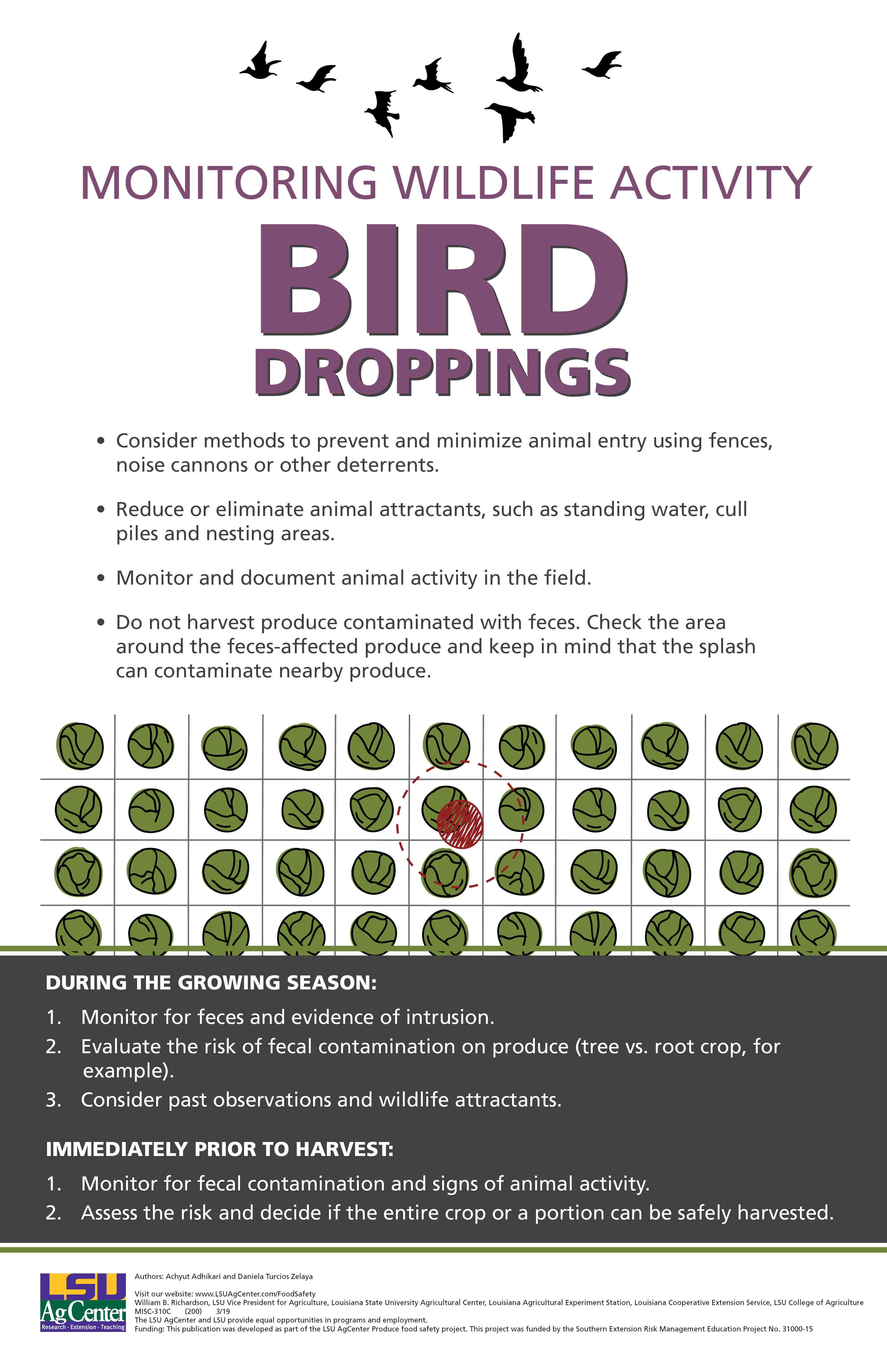 Food Safety Poster: Monitoring Wildlife Activity
