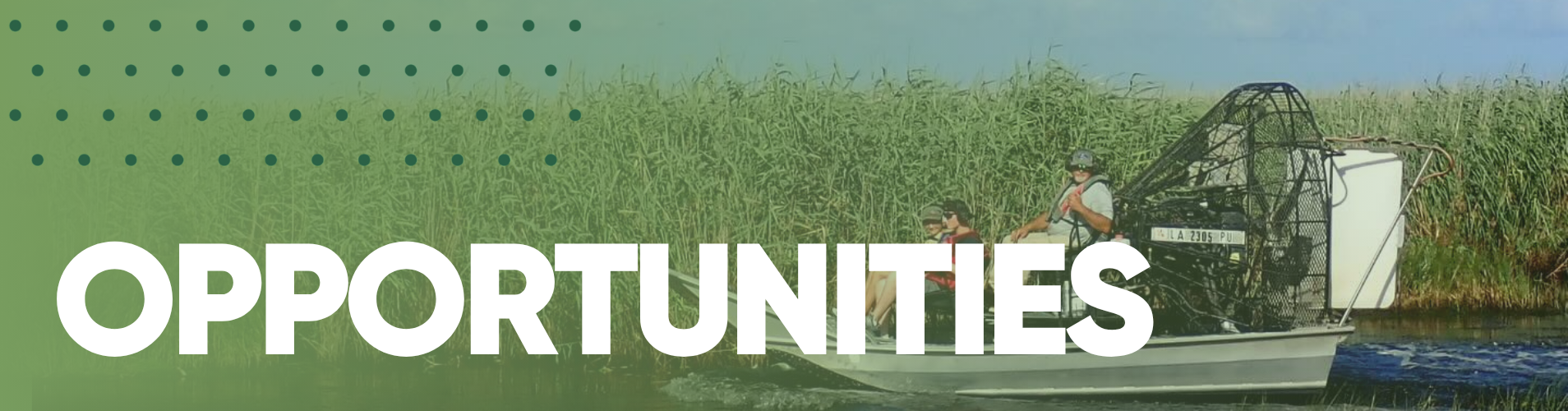 Opportunities banner.