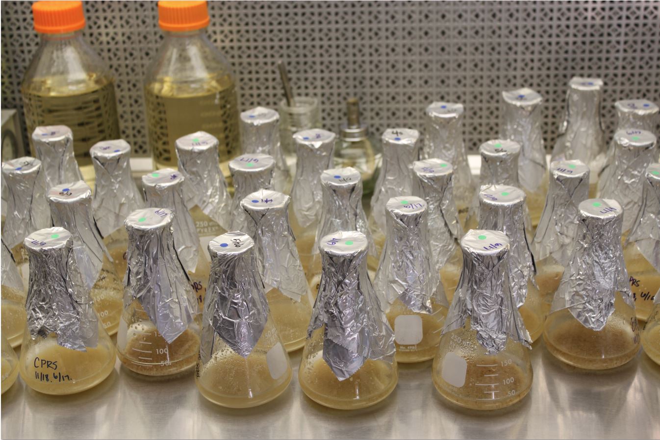 Mutational Breeding and Biotechnological Approaches