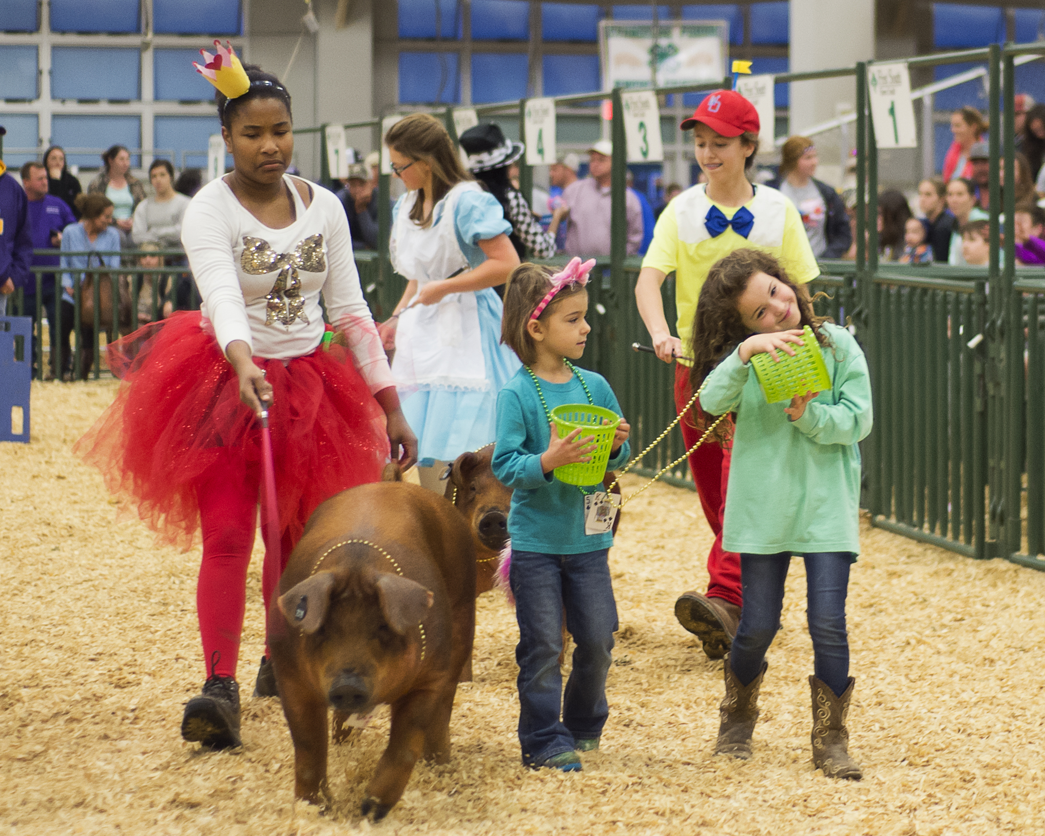 LSU AgCenter Livestock Show 2017