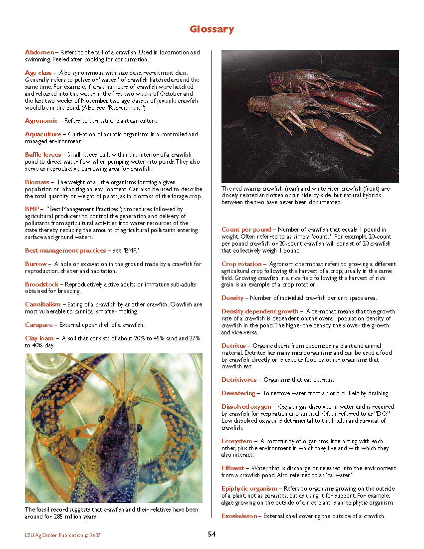 Crawfish Aquaculture Terminology