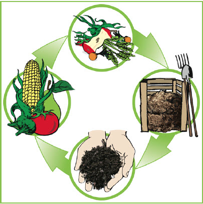 Compostingjpg