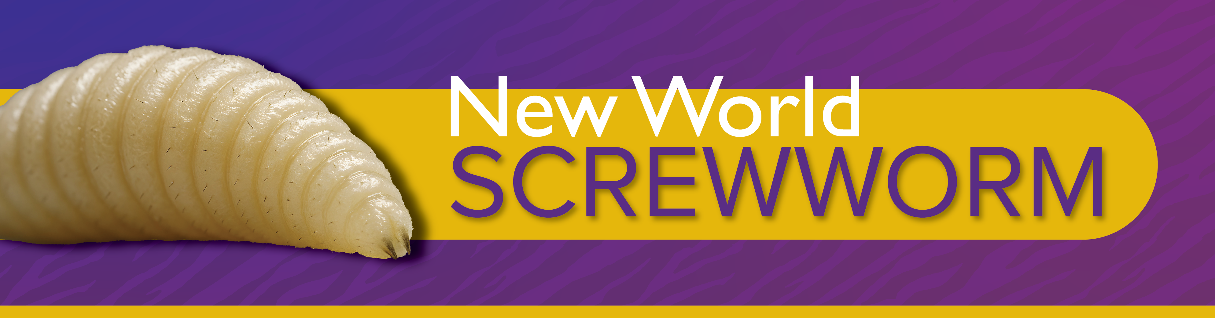 New World Screwworm banner.