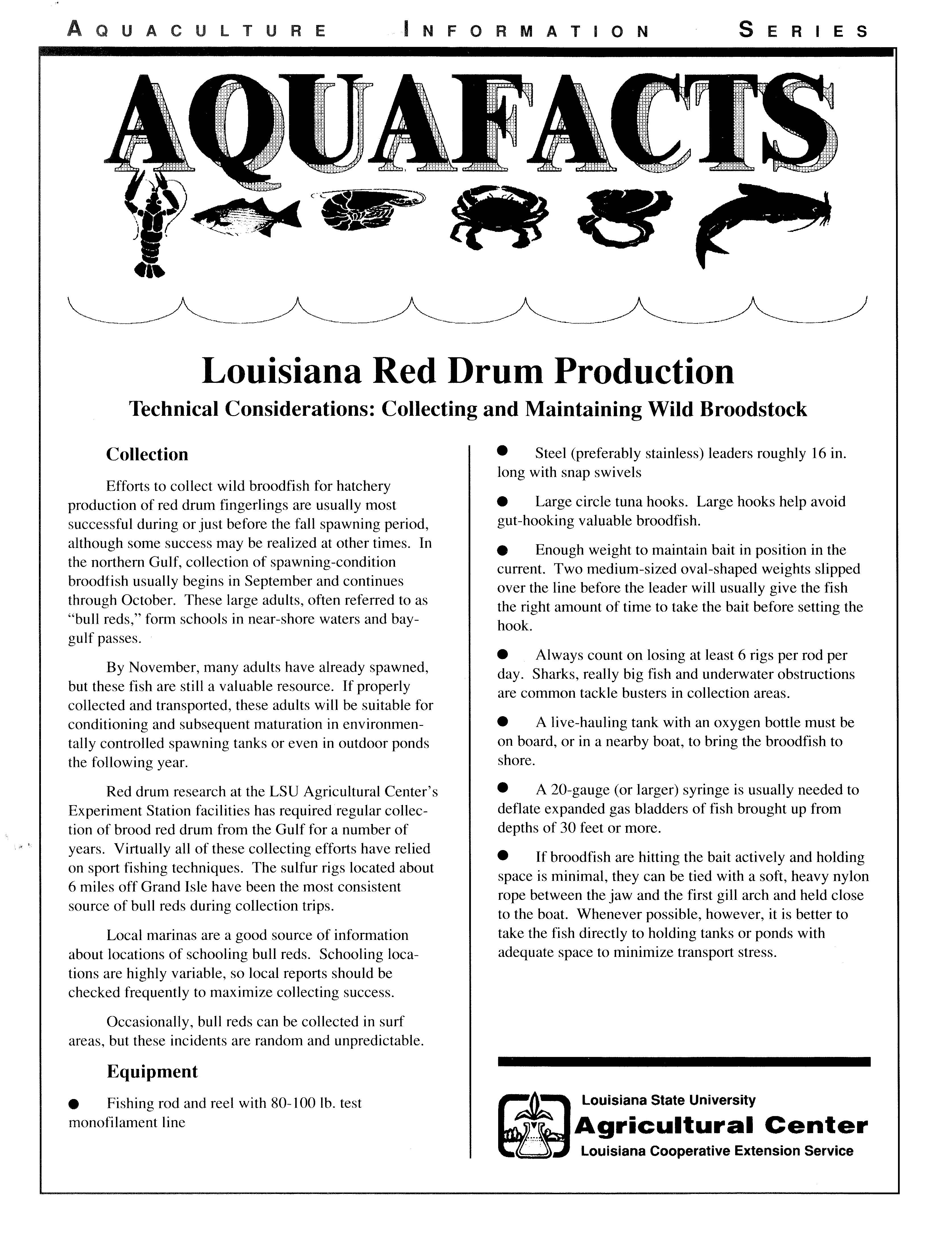 Red Drum Production: Collecting and Maintaining Wild Broodstock