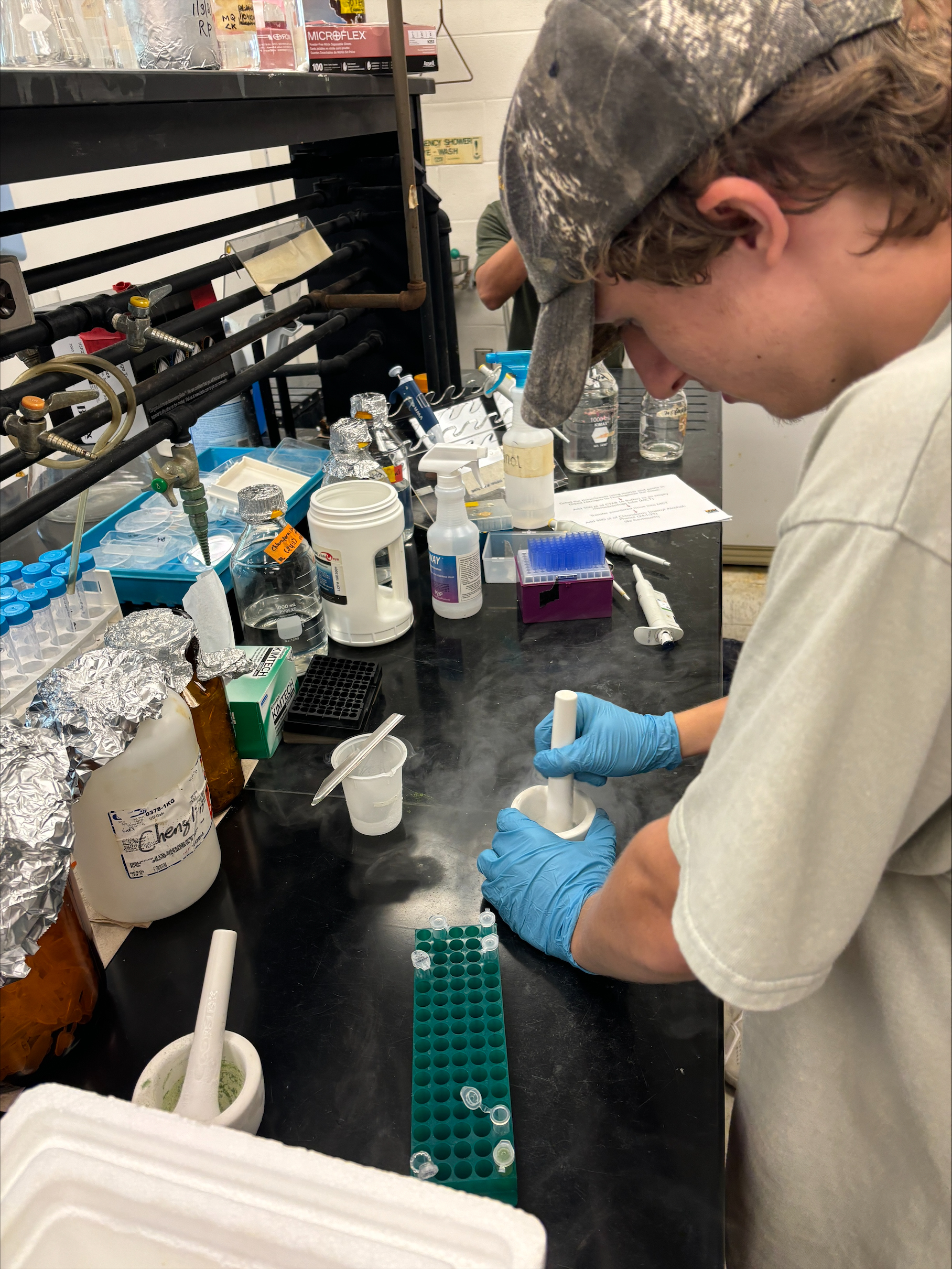 Young man working in a laboratory.