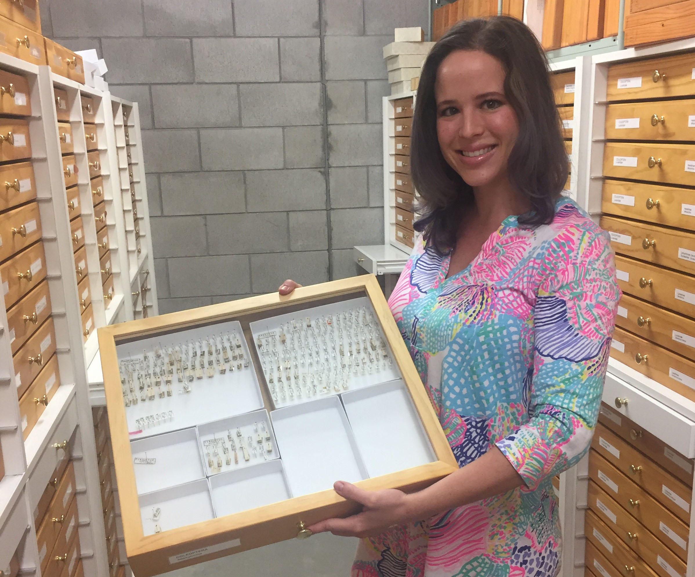 Learn Earth’s Natural History at the Arthropod Museum
