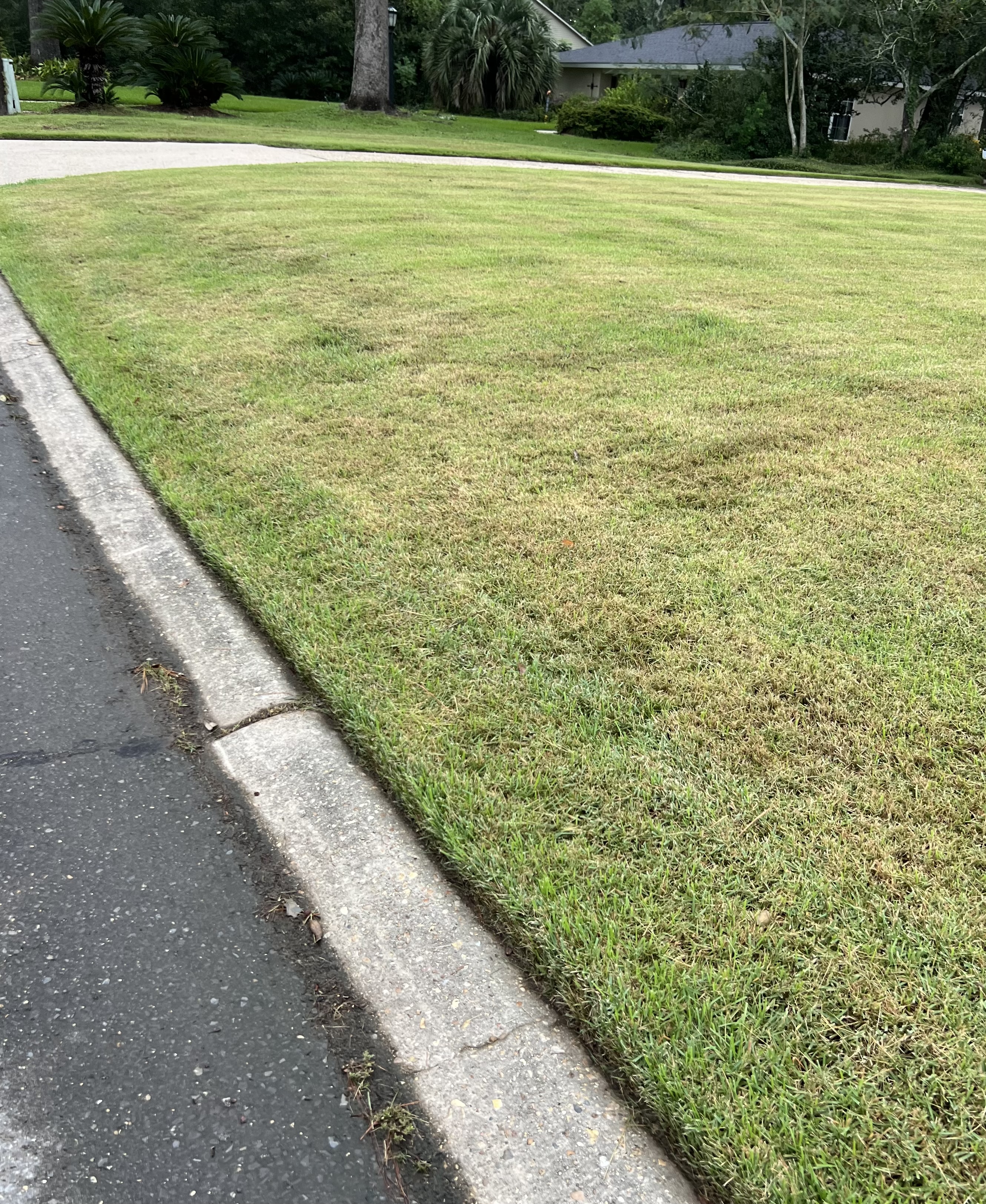 Three Common Lawncare Mistakes to Avoid this Summer