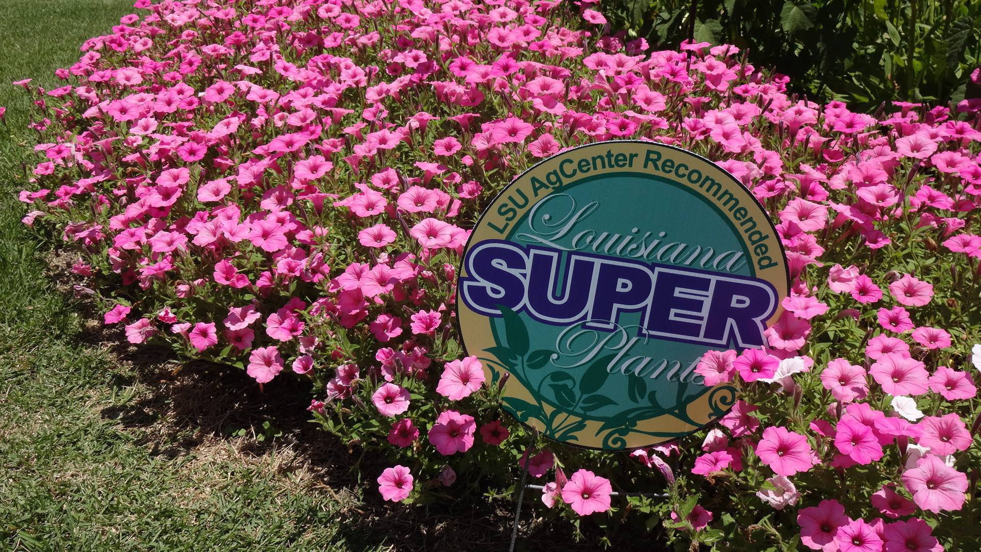May 2019 Ready Set Grow!