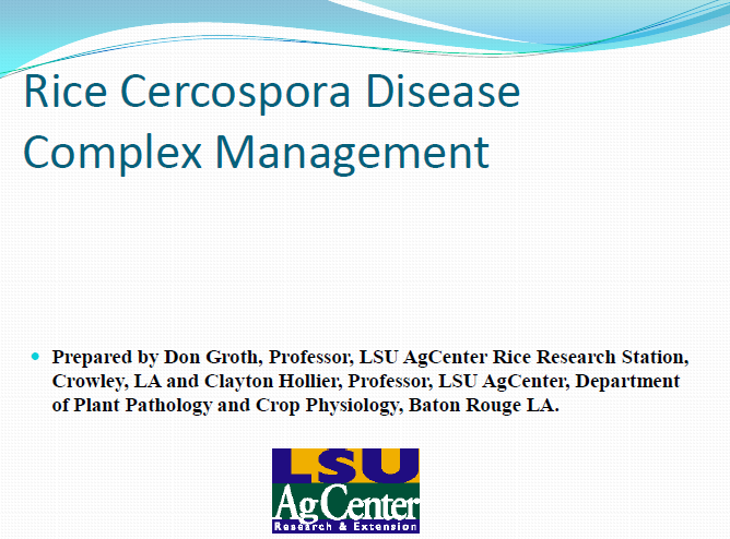 Rice Cercospora Disease Complex Management