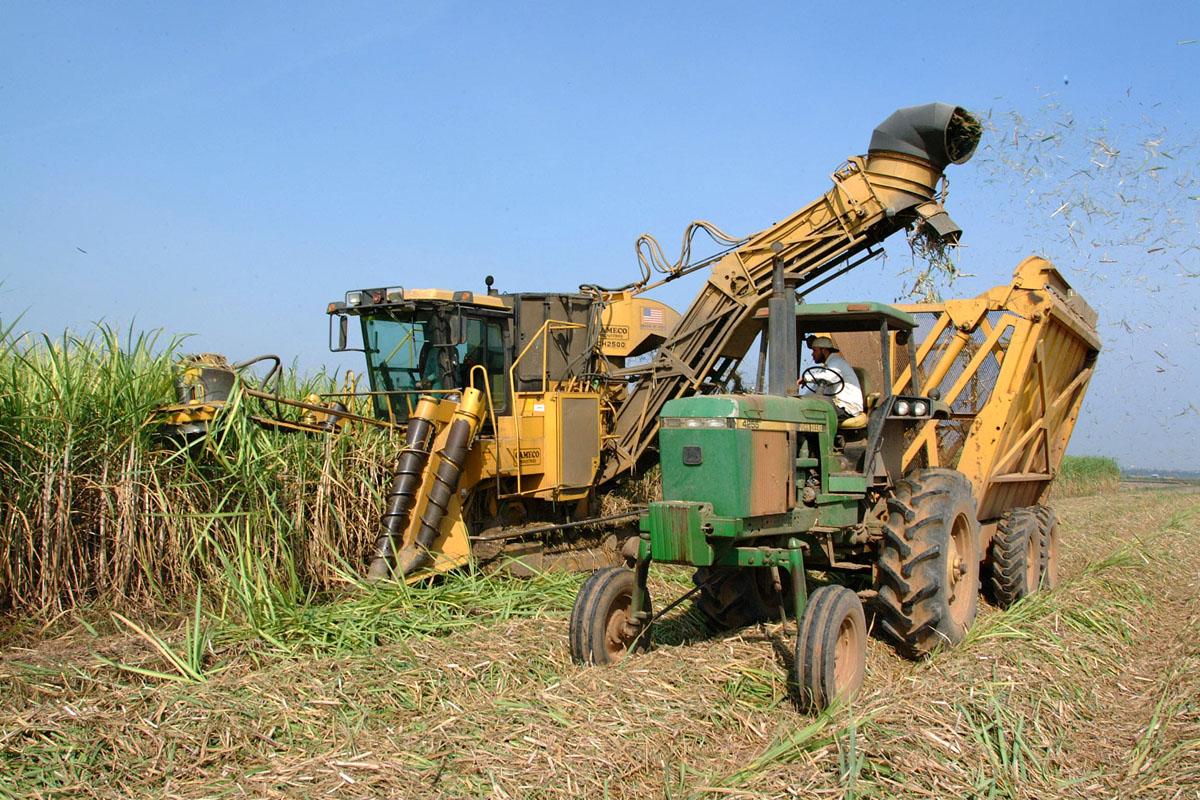 billet harvester