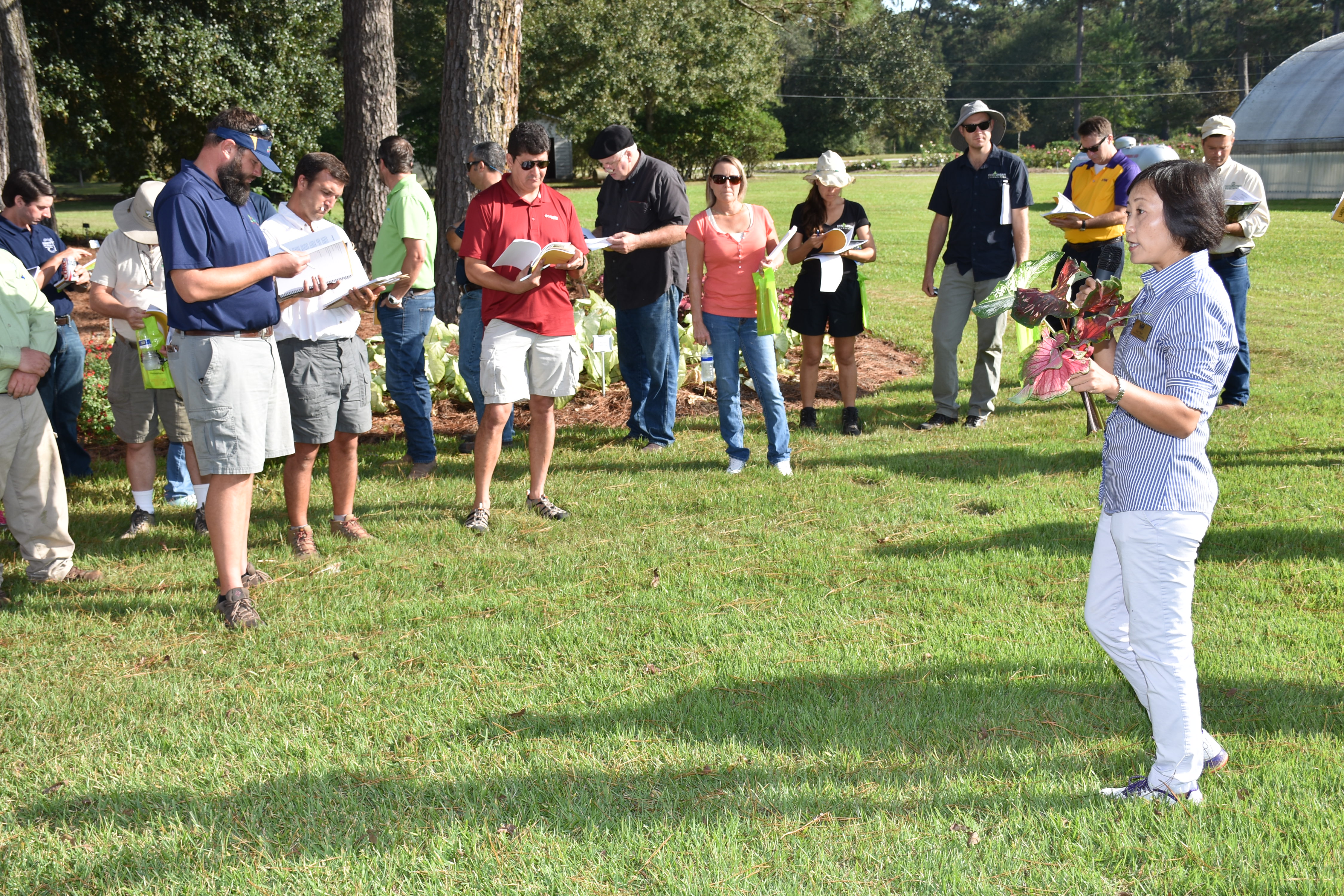 New plants hot topic at horticulture field day