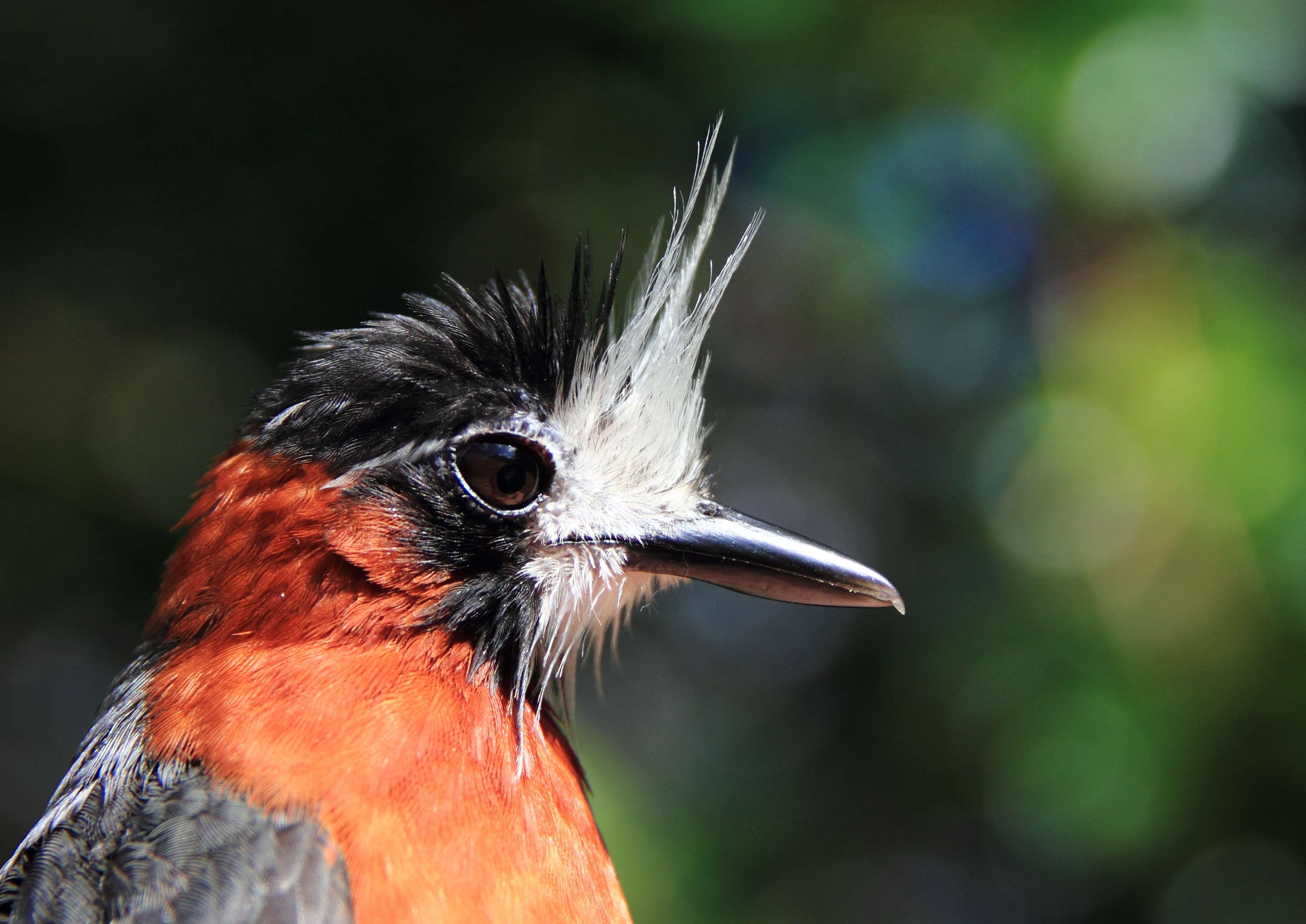 RNR Researchers Uncover How Climate Change Reaches Deep into Amazon Rainforest