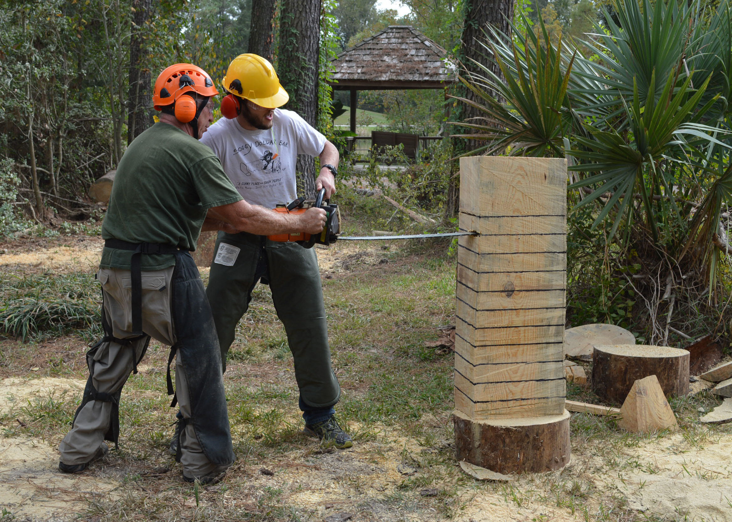 Plant, Environmental and Soil Sciences School Has Broad Mandate 