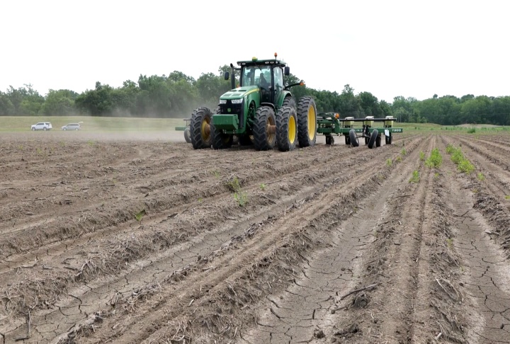 Cotton planting behind but catching up fast