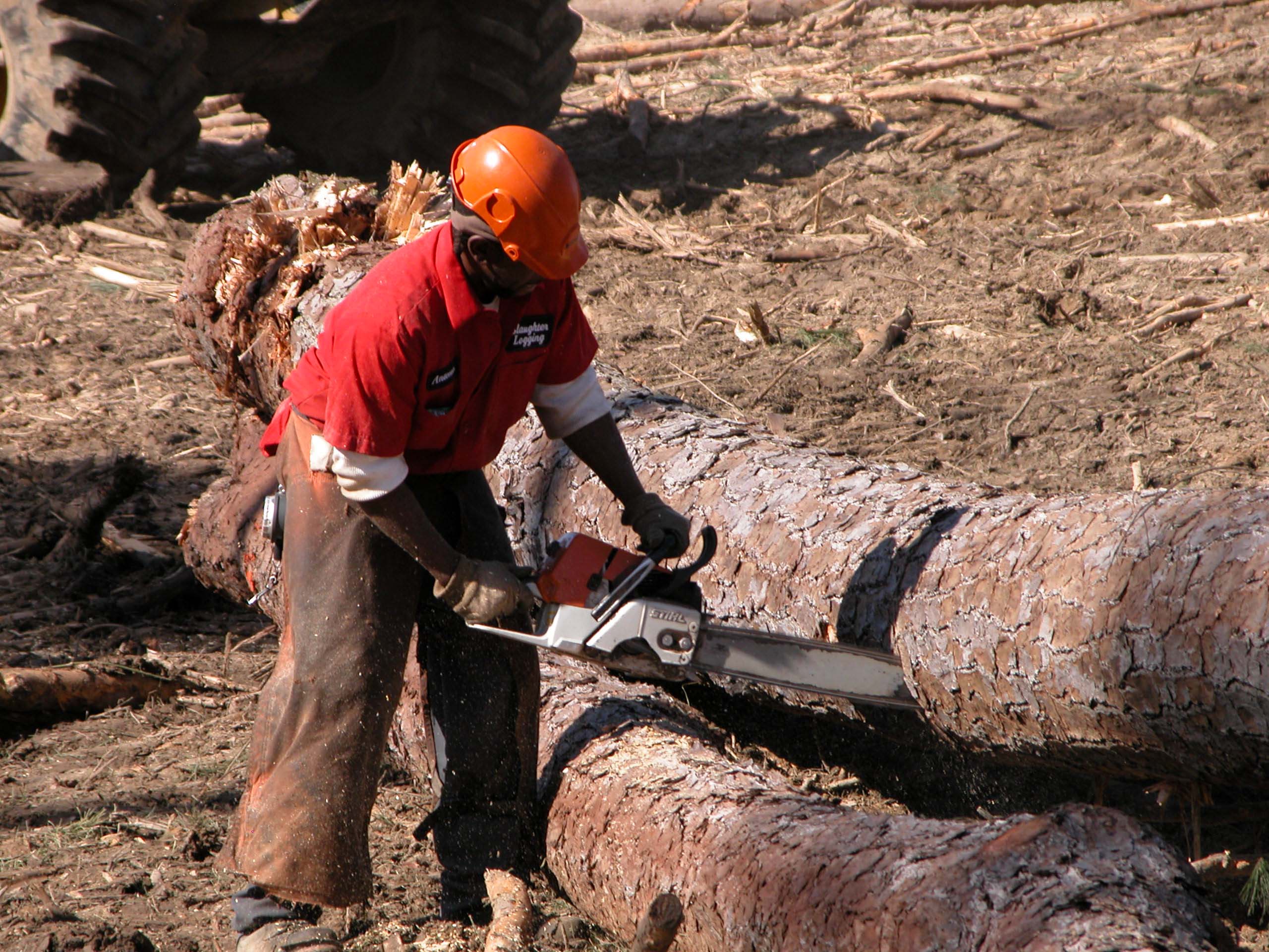 Chainsaw Safety
