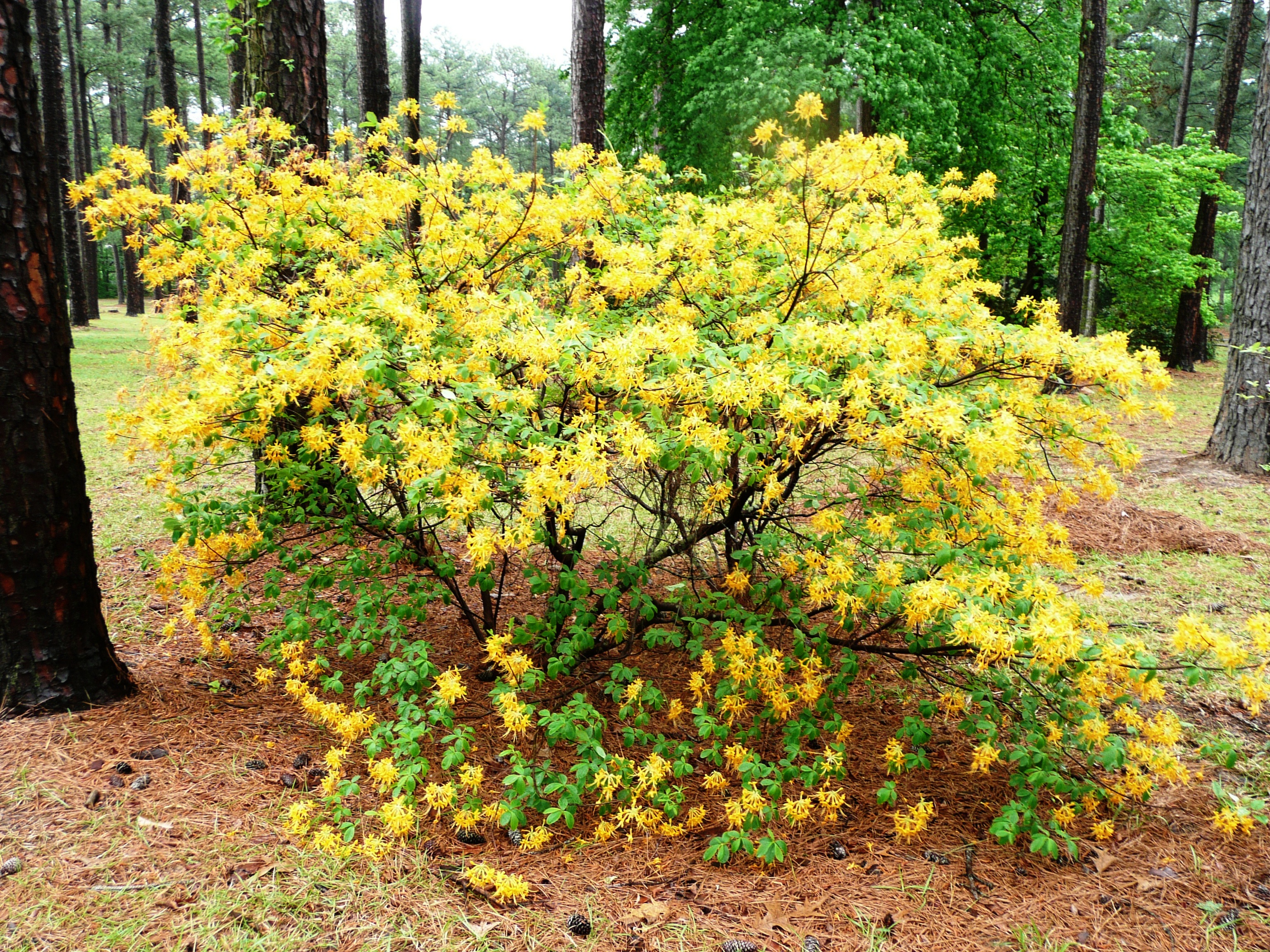Fall is for landscaping