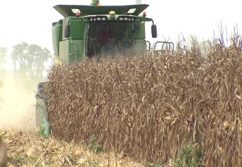 Louisiana row crops had ups and downs in 2018 