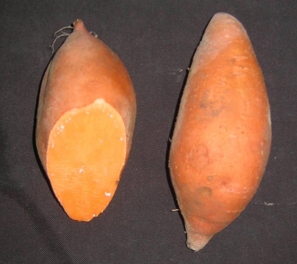 Two sweet potatoes with red skin. One has end cut revealing deep orange flesh.