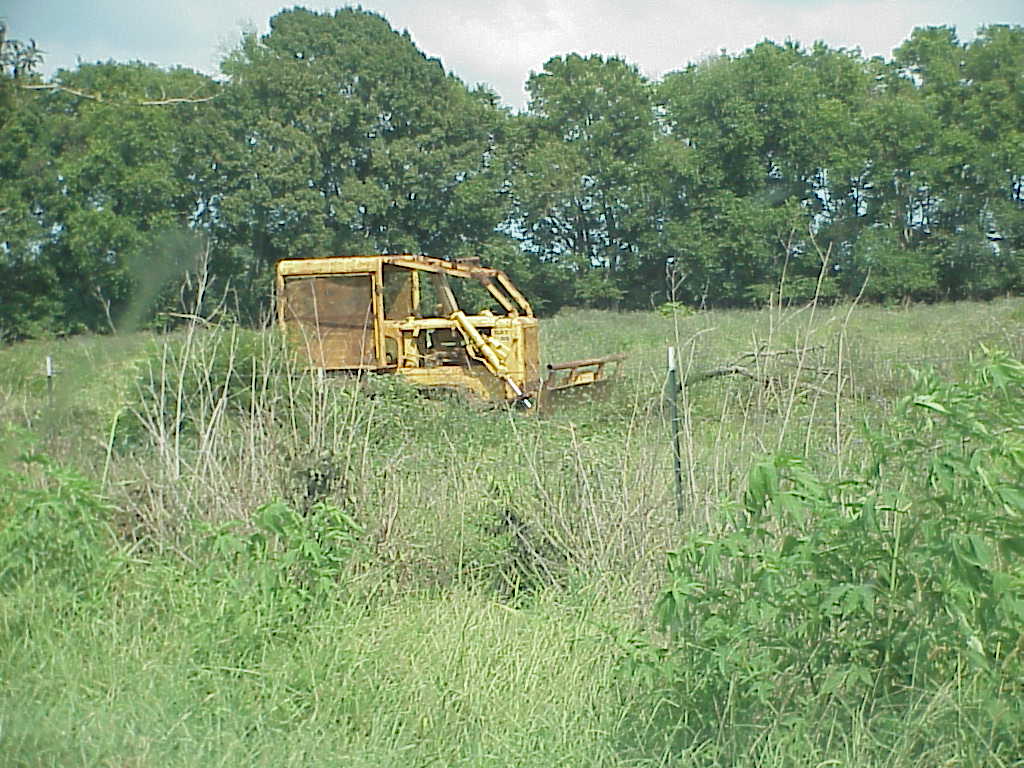 anthrax pasture