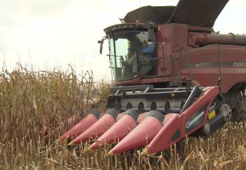 Farmers busy getting corn crop harvested