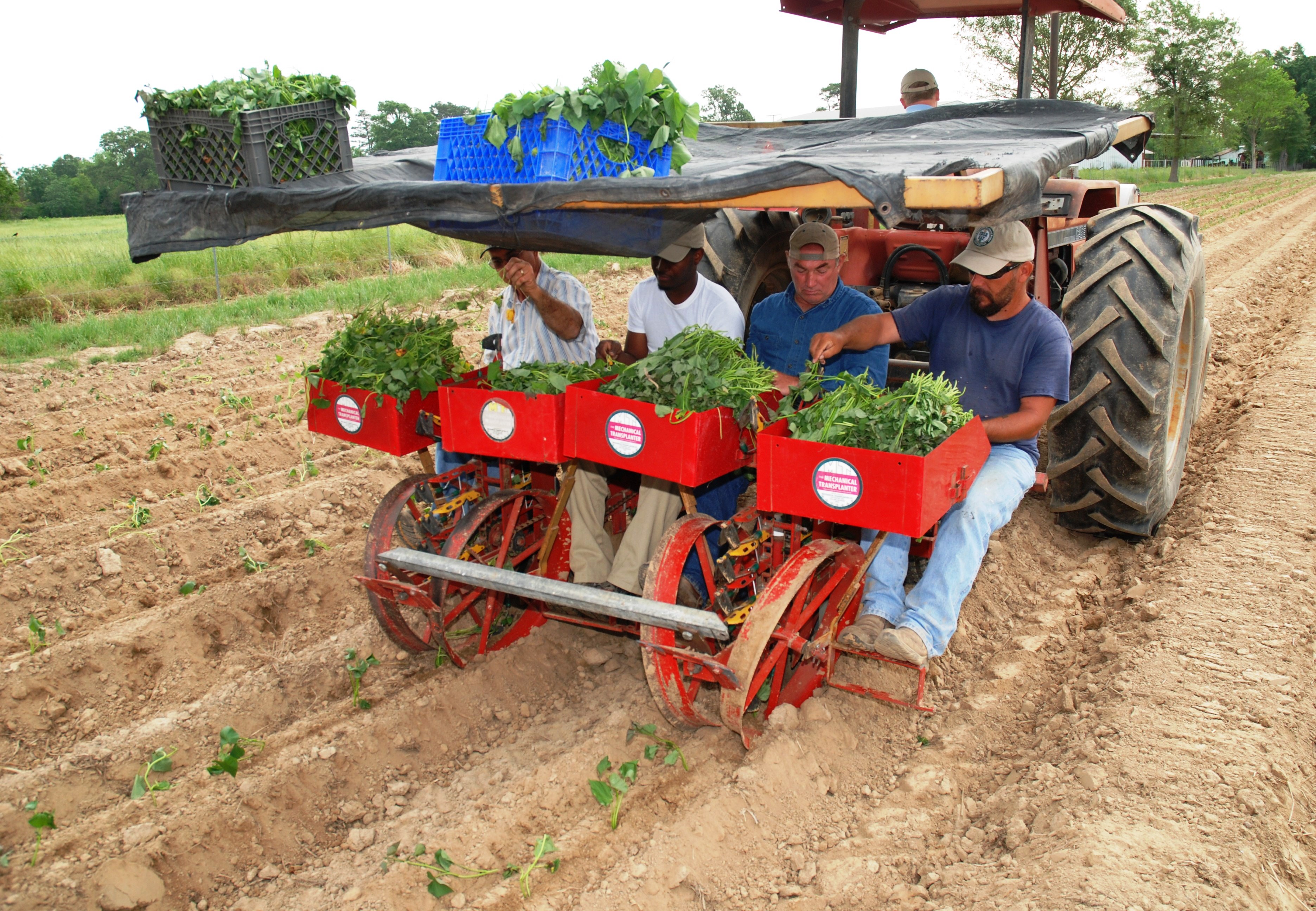 2015 was challenge for La. horticulture industry