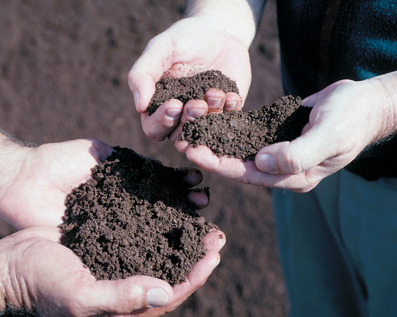 Purchasing Soil