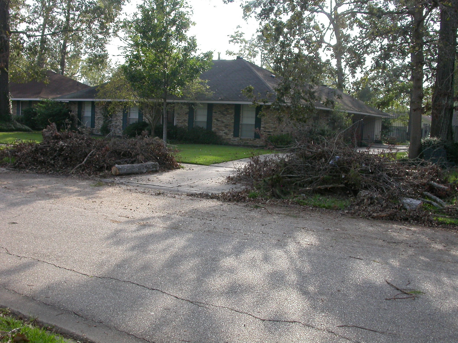 Storm Spot Images