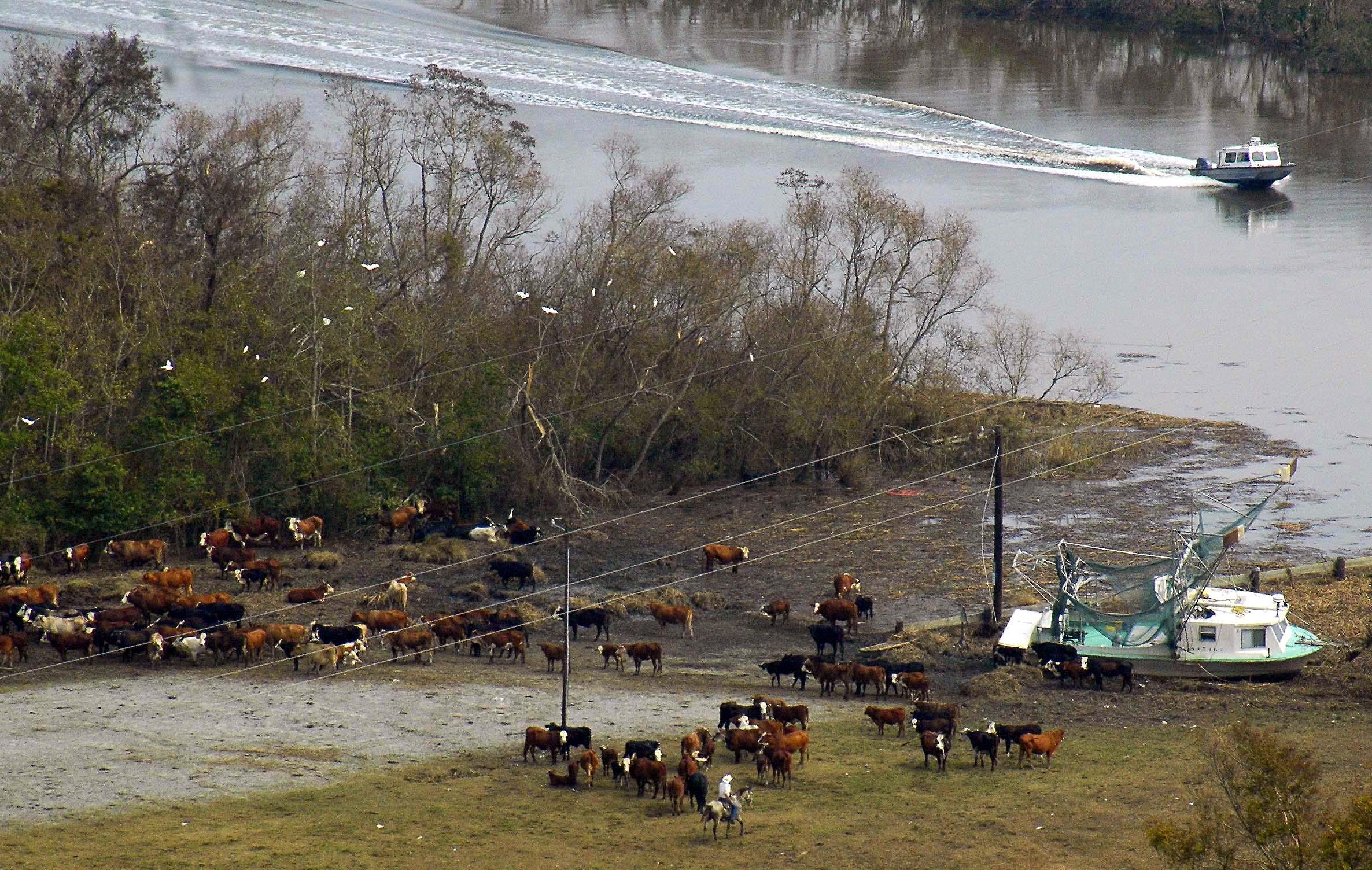 Recovery has been long, slow from Hurricane Rita