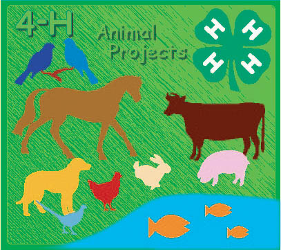 4-H / FFA St. Tammany Parish Livestock Show T-Shirt Design Contest