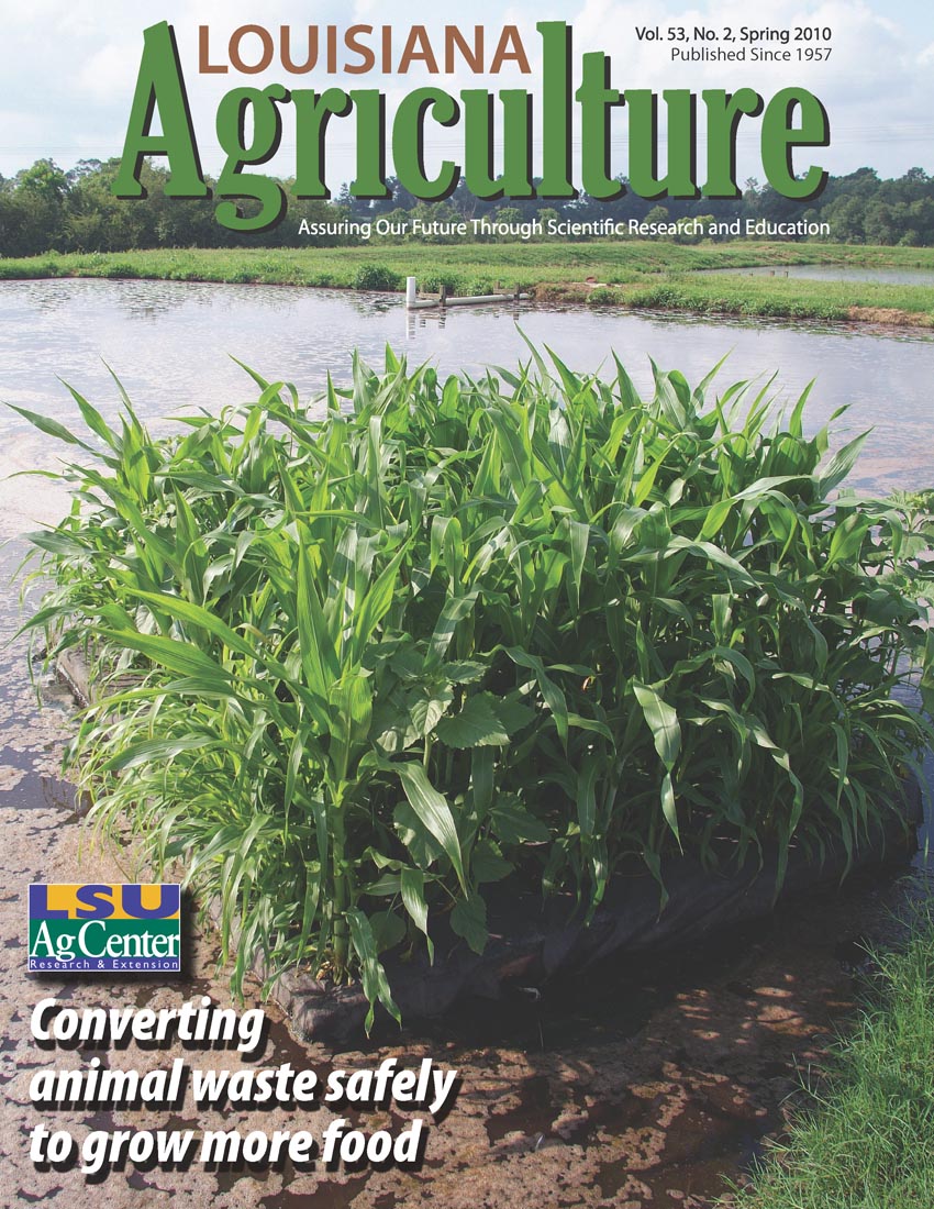 Louisiana Agriculture Magazine Spring 2010