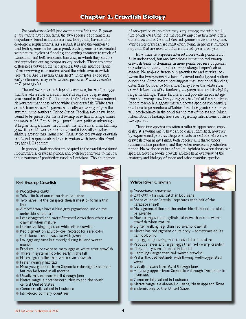 Crawfish Biology