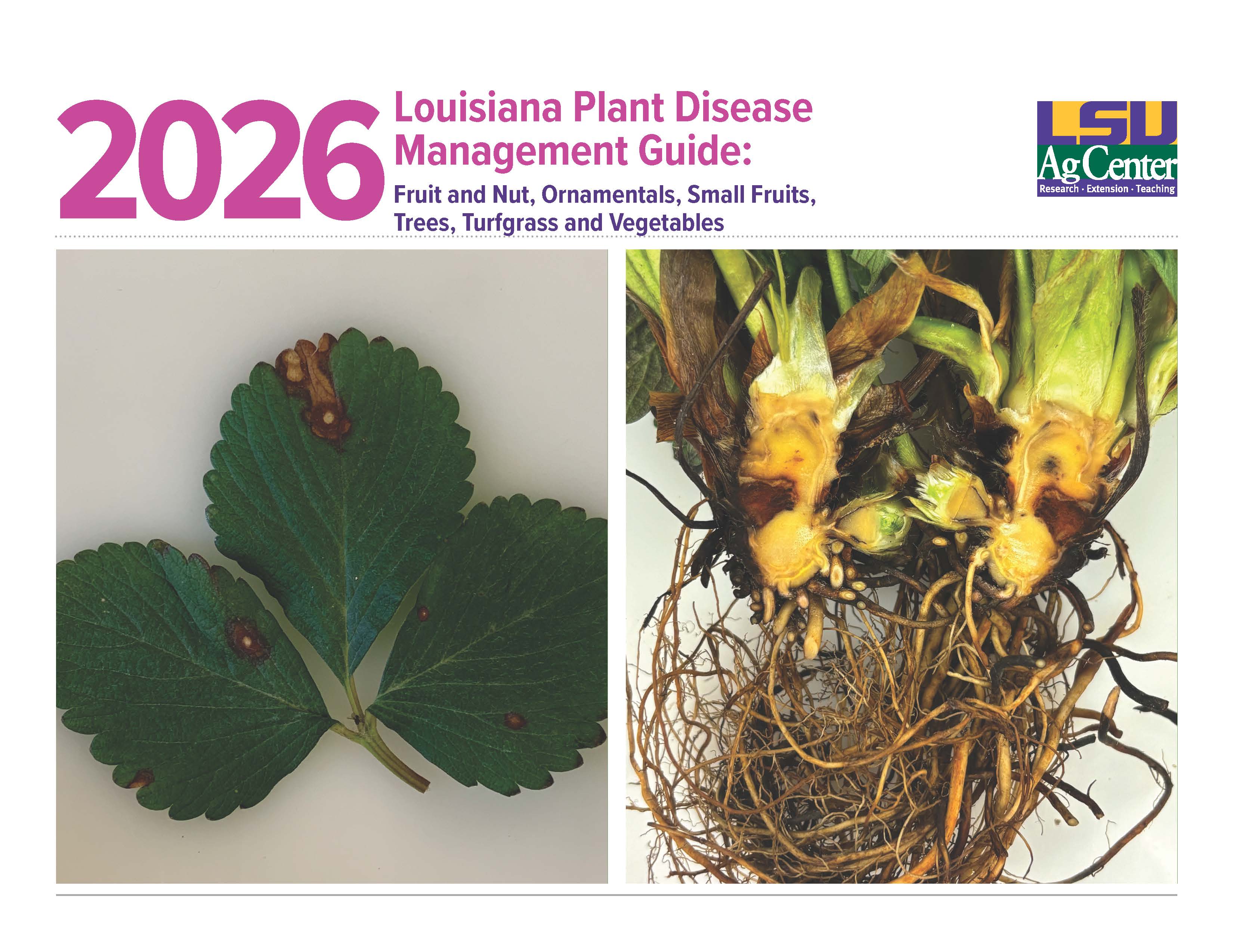 P1802B_2026-LouisianaPlantDiseaseManagementGuide_cover.jpg thumbnail