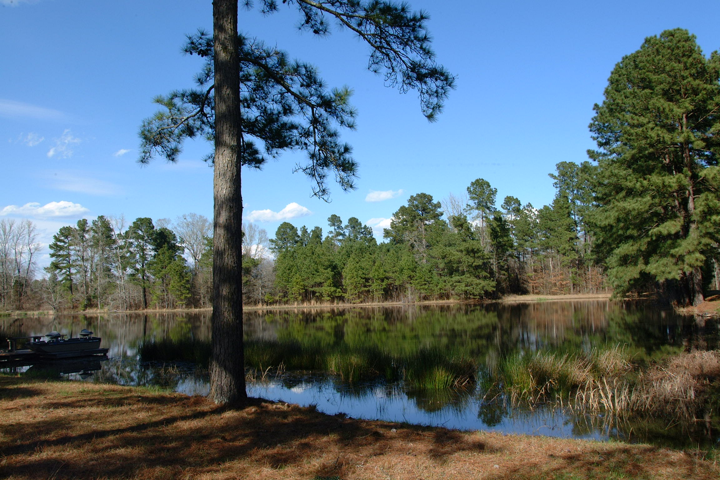 Springtime brings problems for fish ponds
