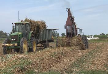 Global issues hit home as Louisiana farmers face high fuel, fertilizer costs